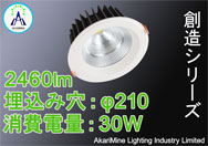 φ210-216 30W 2460lm