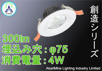 φ75-85 4W 300lm