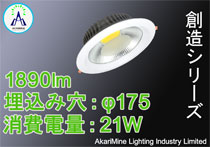 φ165-185 21W 1890lm