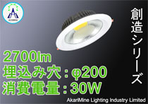 φ200-215 30W 2700lm