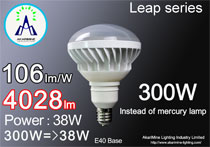 38W 4028lm E40