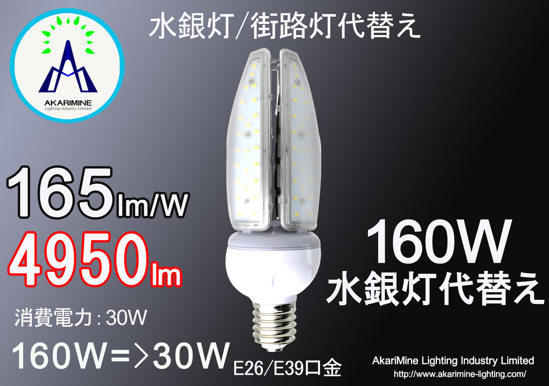 30W  4950LM  E26 E39口金